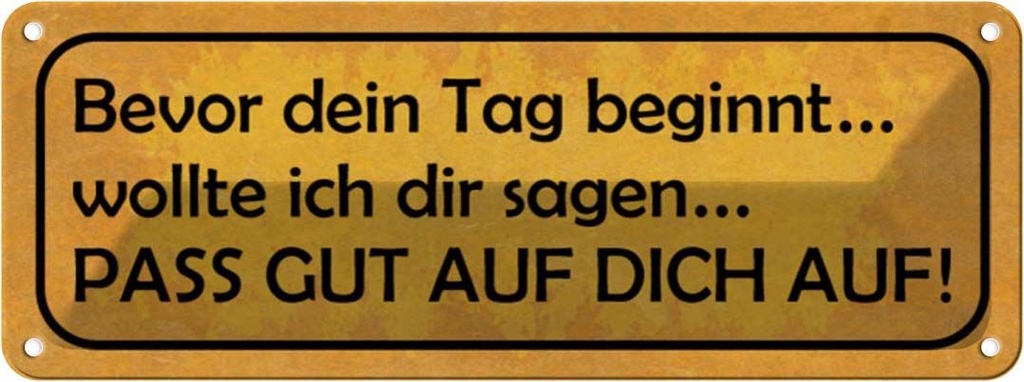 Blechschild 10x27 cm bevor Tag pass gut auf dich Spruch Zitat