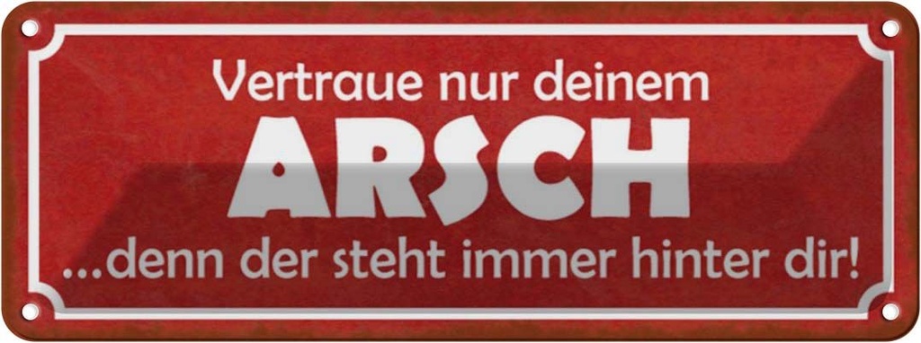 Blechschild 10x27 cm vertraue nur deinem Arsch denn Dekoration Spruch Zitat