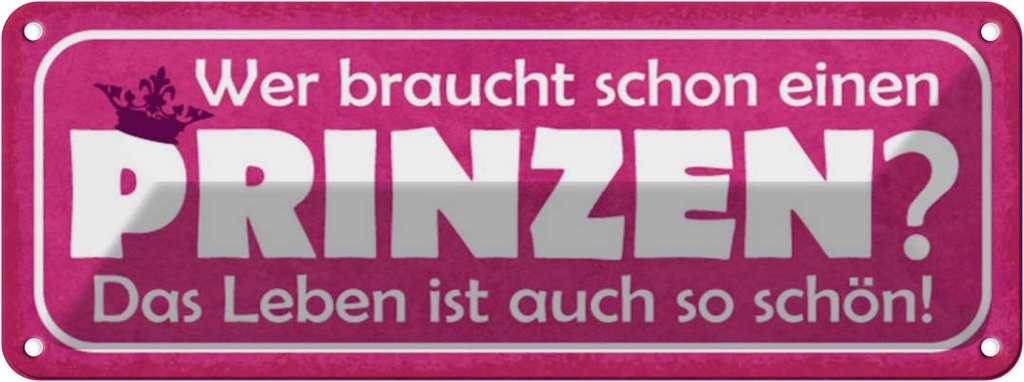 Blechschild 10x27 cm wer braucht schon einen Prinzen Spruch Zitat