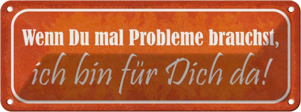 Blechschild 10x27 cm wenn du Probleme brauchst bin da Spruch Zitat