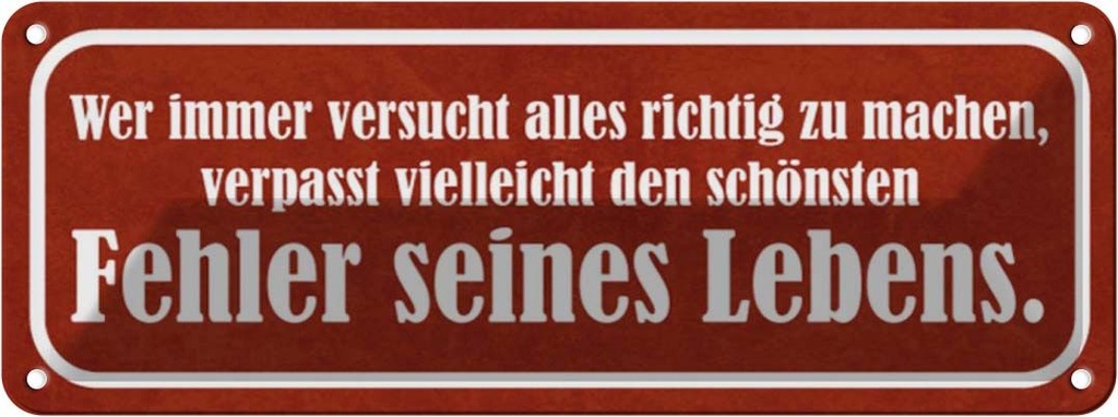 Blechschild 10x27 cm schönster Fehler seines Lebens Dekoration Spruch Zitat
