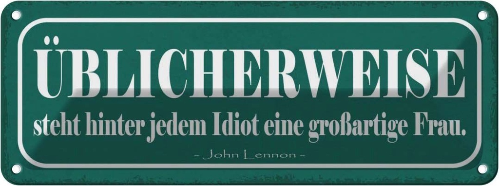 Blechschild 10x27 cm hinter Idiot großartige Frau Männer Frauen Spruch Zitat