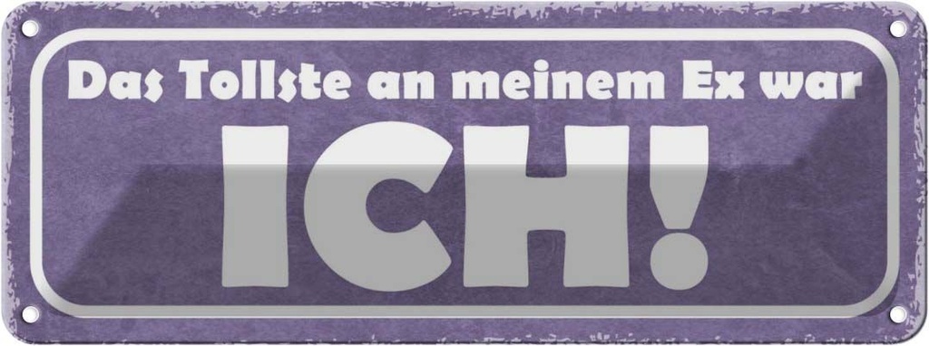 Blechschild 10x27 cm das tollste an meinem Ex was ICH Spruch Zitat