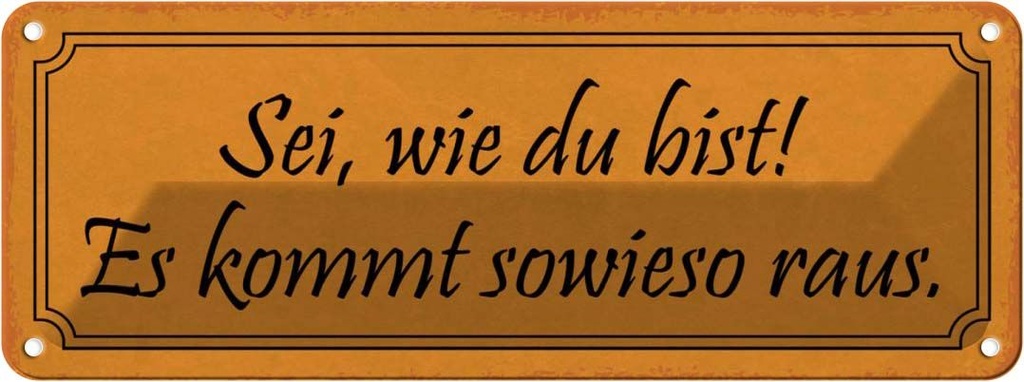 Blechschild 10x27 cm sei wie du bist es kommt sowieso Spruch Zitat
