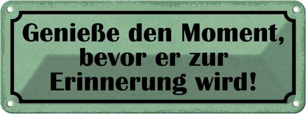 Blechschild 10x27 cm genieße Moment bevor Erinnerung Spruch Zitat