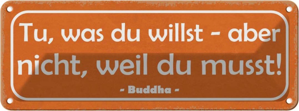 Blechschild 10x27 cm tue was du willst aber nicht Dekoration Spruch Zitat