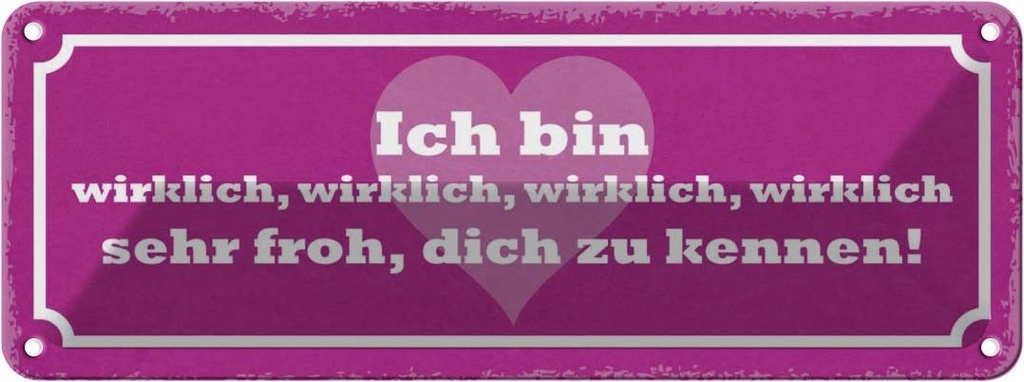 Blechschild 10x27 cm bin wirklich froh dich zu kennen Spruch Zitat