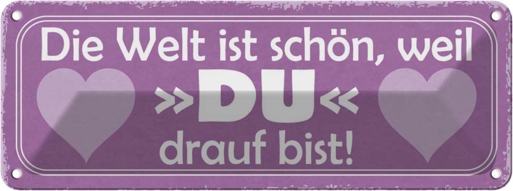 Blechschild 10x27 cm Welt ist schön weil DU bist Dekoration Spruch Zitat