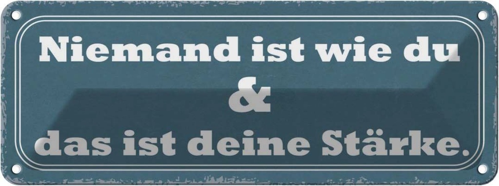Blechschild 10x27 cm Niemand ist die du deine Stärke Spruch Zitat