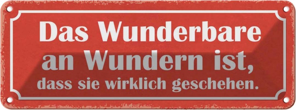 Blechschild 10x27 cm das Wunderbare an Wundern ist Dekoration Spruch Zitat