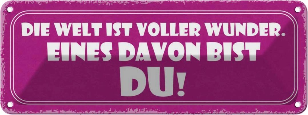Blechschild 10x27 cm Welt voller Wunder eines bist DU Spruch Zitat