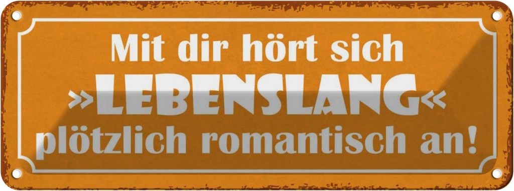 Blechschild 10x27 cm mit dir Lebenslang romantisch Dekoration Spruch Zitat