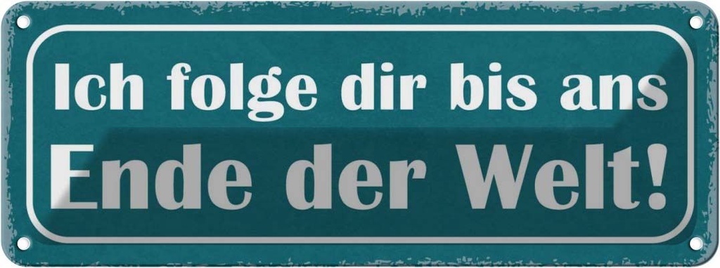 Blechschild 10x27 cm ich folge dir bis ans Ende Welt Spruch Zitat