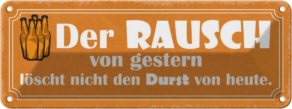 Blechschild 10x27 cm der Rausch gestern löscht nicht Spruch Zitat
