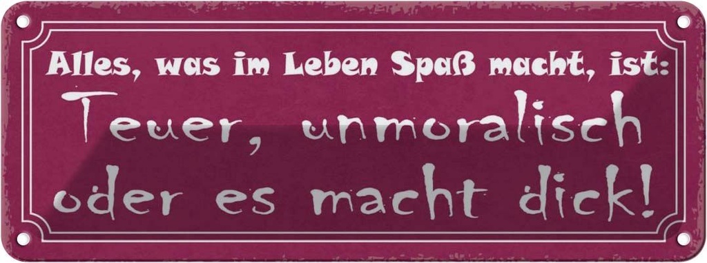 Blechschild 10x27 cm alles was Spaß teuer unmoralisch Spruch Zitat