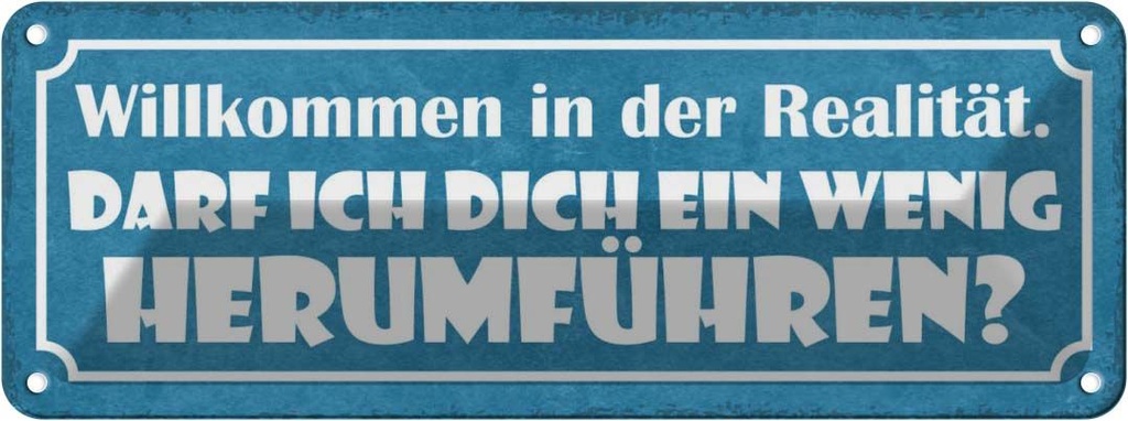 Blechschild 10x27 cm Wilkommen in der Realität darf Dekoration Spruch Zitat