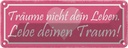 Blechschild 10x27 cm träume nicht dein Leben lebe Dekoration Spruch Zitat