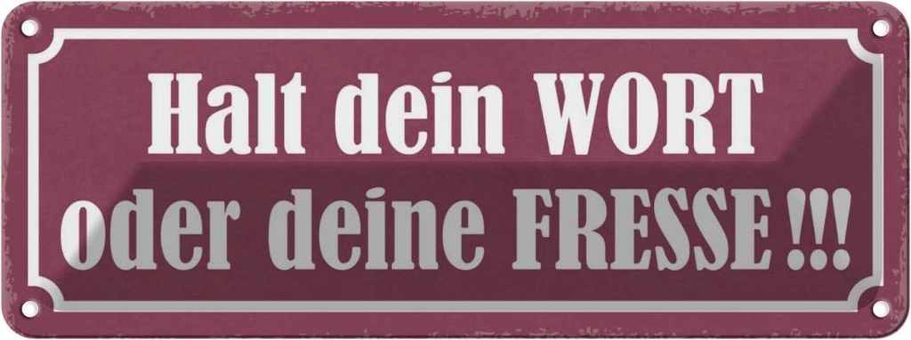 Blechschild 10x27 cm Halt dein Wort oder deine Fresse Spruch Zitat