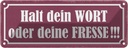 Blechschild 10x27 cm Halt dein Wort oder deine Fresse Spruch Zitat