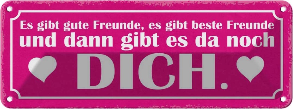 Blechschild 10x27 cm es gibt beste Freunde und DICH Dekoration Spruch Zitat