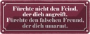 Blechschild 10x27 cm fürchte nicht den Feind der Dekoration Spruch Zitat