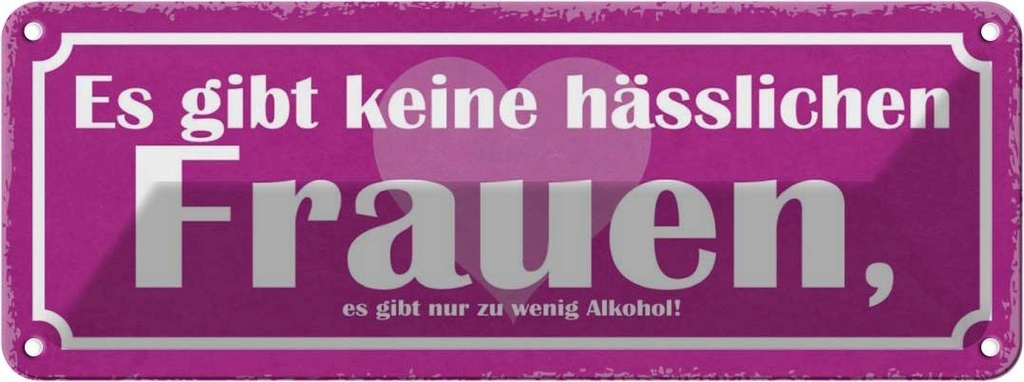 Blechschild 10x27 cm es gibt keine hässlichen Frauen Spruch Zitat
