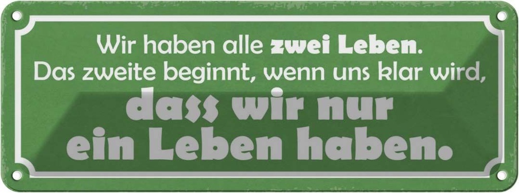 Blechschild 10x27 cm wir haben zwei Leben das zweite Spruch Zitat