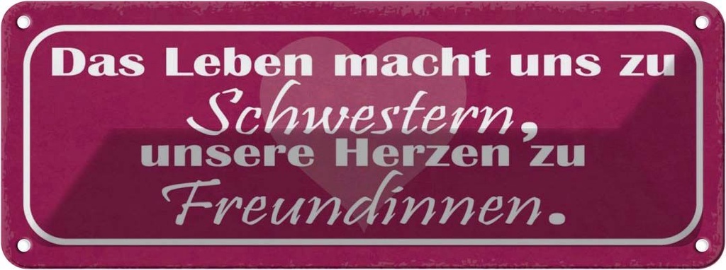 Blechschild 10x27 cm Leben macht uns zu Schwestern Dekoration Spruch Zitat