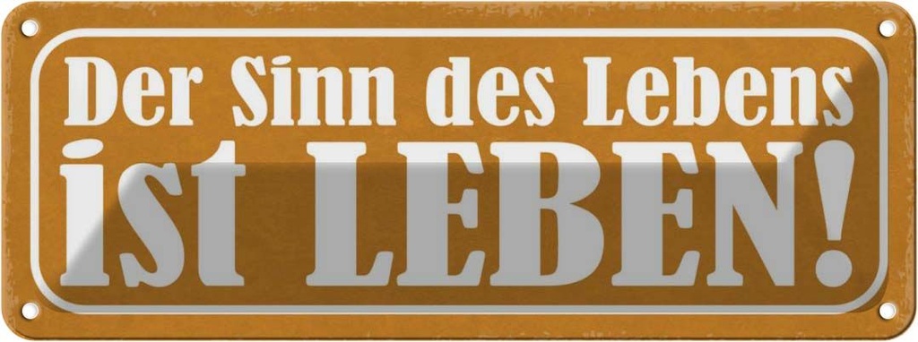 Blechschild 10x27 cm der Sinn des Lebens ist Leben Dekoration Spruch Zitat