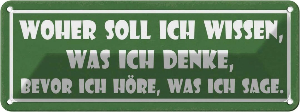 Blechschild 10x27 cm woher soll ich wissen was denke Spruch Zitat