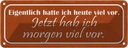 Blechschild 10x27 cm jetzt hab ich morgen viel vor Dekoration Spruch Zitat