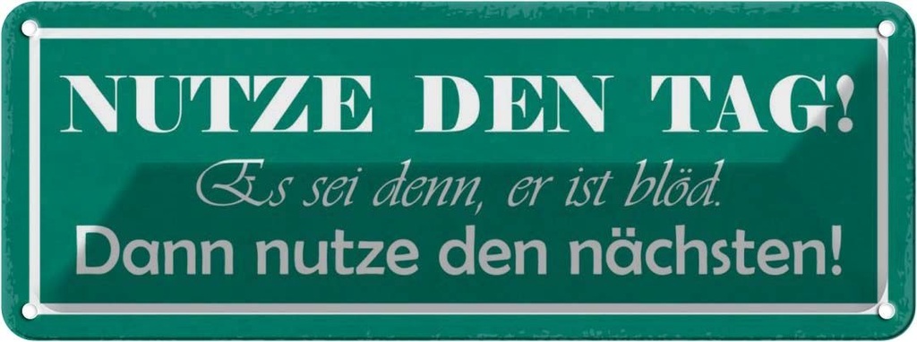 Blechschild 10x27 cm nutze den Tag es se er ist blöd Spruch Zitat
