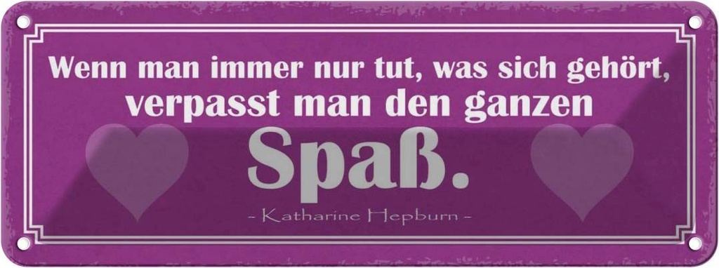 Blechschild 10x27 cm tun was sich gehört kein Spaß Dekoration Spruch Zitat