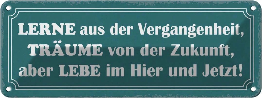 Blechschild 10x27 cm lerne träume lebe hier und jetzt Spruch Zitat