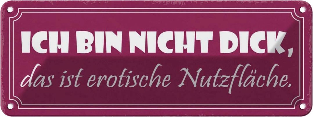 Blechschild 10x27 cm nicht dick erotische Nutzfläche Spruch Zitat