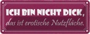 Blechschild 10x27 cm nicht dick erotische Nutzfläche Spruch Zitat