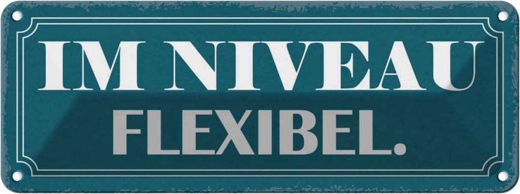 Blechschild 10x27 cm im Niveau flexibel Dekoration Spruch Zitat