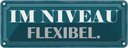 Blechschild 10x27 cm im Niveau flexibel Dekoration Spruch Zitat