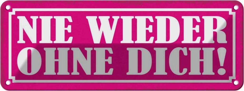 Blechschild 10x27 cm Nie wieder ohne dich Dekoration Spruch Zitat