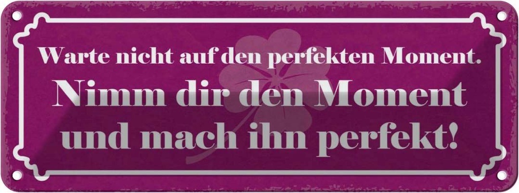 Blechschild 10x27 cm nimm dir Moment und mach perfekt Spruch Zitat