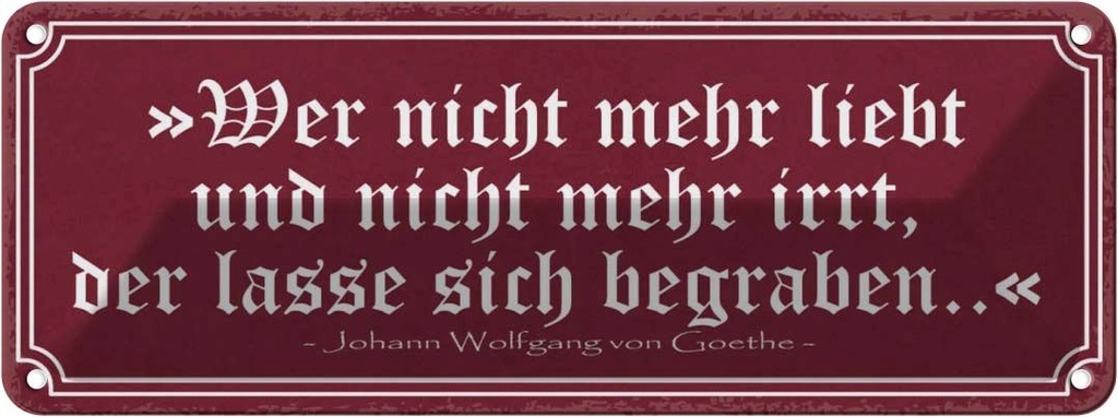 Blechschild 10x27 cm wer nicht mehr liebt und irrt Dekoration Spruch Zitat