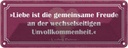 Blechschild 10x27 cm Liebe ist die gemeinsame Freude Spruch Zitat