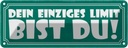 Blechschild 10x27 cm dein einziges Limit bist Du Dekoration Spruch Zitat