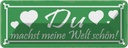 Blechschild 10x27 cm du machst meine Welt schön Herz Spruch Zitat