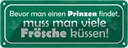Blechschild 10x27 cm bevor man Prinzen viele Frösche Spruch Zitat