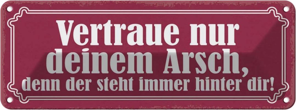 Blechschild 10x27 cm vertraue nur deinem Arsch denn Dekoration Spruch Zitat