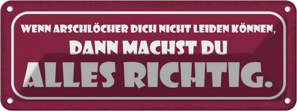 Blechschild 10x27 cm wenn Arschlöcher dich nicht Dekoration Spruch Zitat