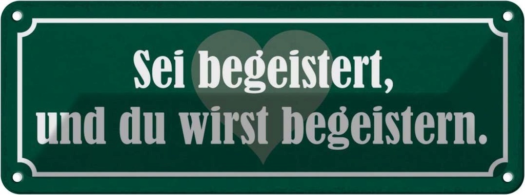 Blechschild 10x27 cm sei begeistert wirst begeistern Spruch Zitat