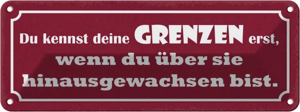 Blechschild 10x27 cm kennst deine Grenzen erst wenn Dekoration Spruch Zitat