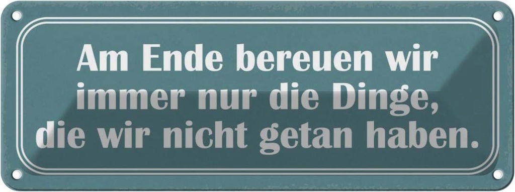 Blechschild 10x27 cm am Ende bereuen wir immer nur Dekoration Spruch Zitat